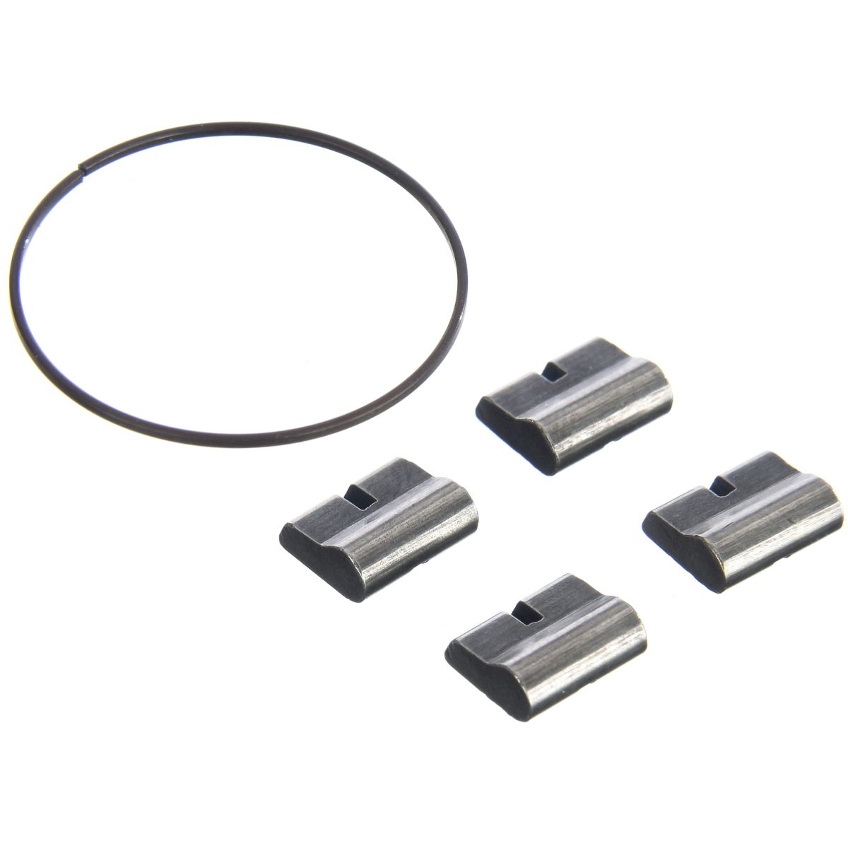Prime RD010-R010-RD020-R020 Hub Pawls + Spring